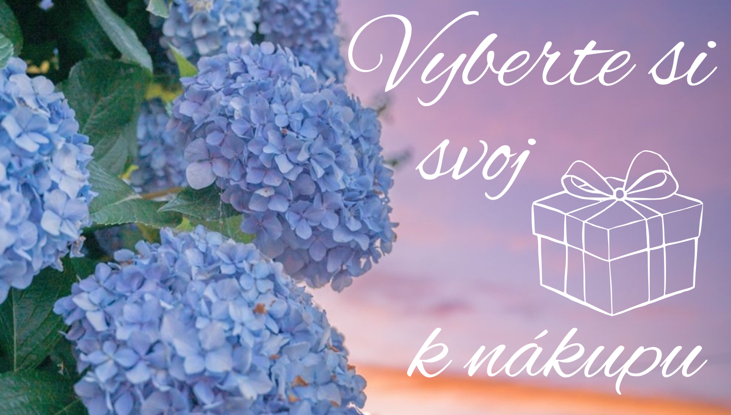 Darcek k nakupu 07 26
